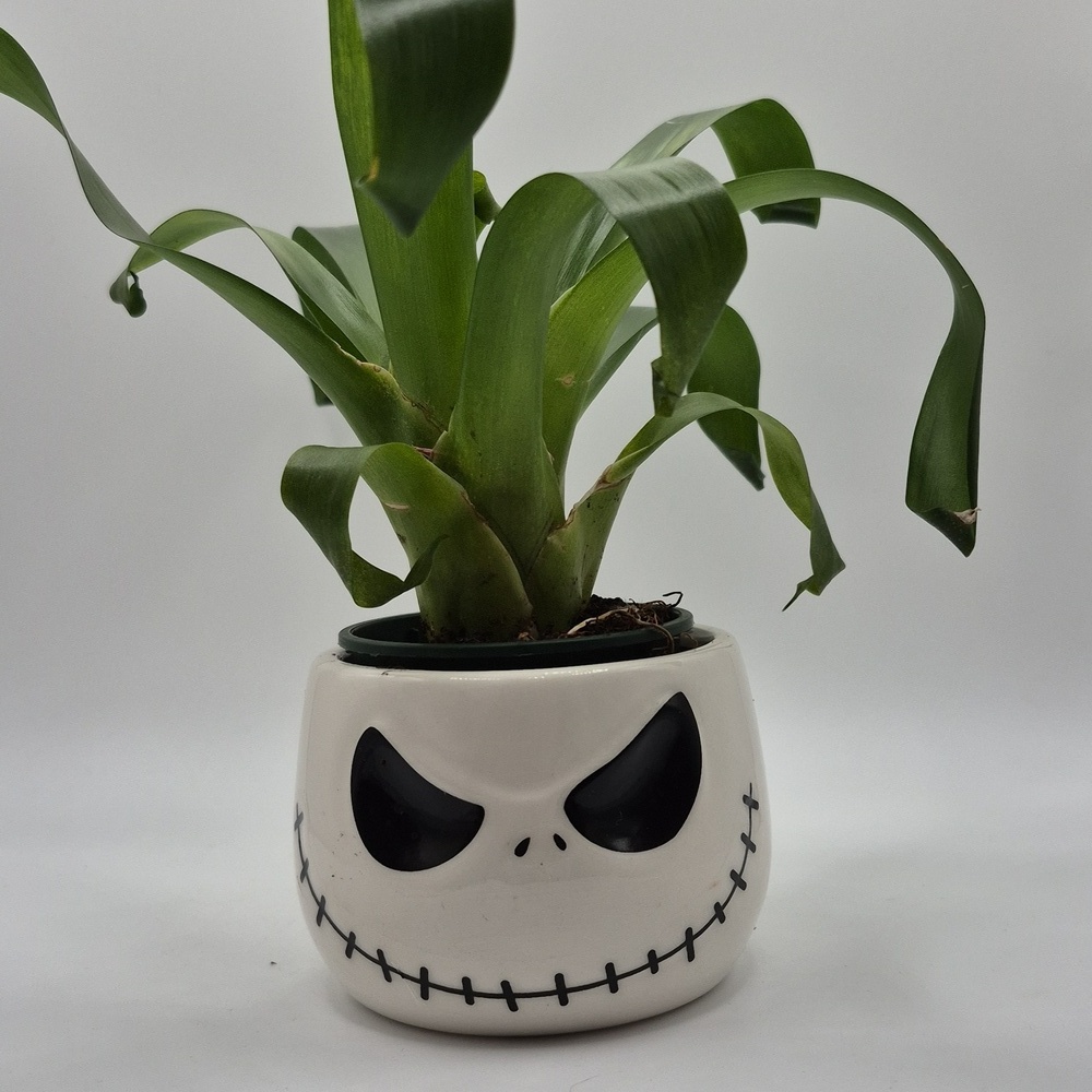 Jack Skellington Planter FREE WITH PURCHASE